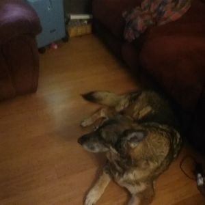 Meet your Posher, Cindy